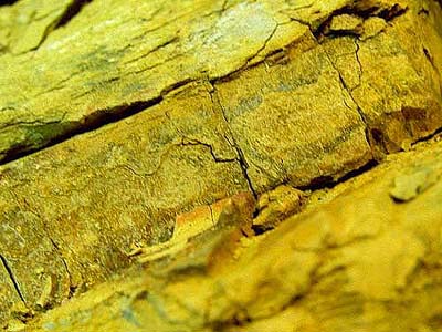 嫩泥夾紅石紅之原礦