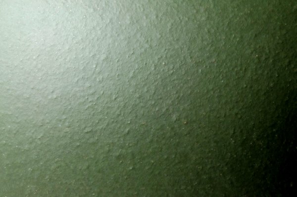 曳柳弄荷~【墨荷】