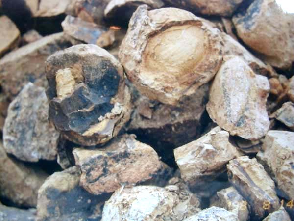 赵庄山~黄石黄原矿